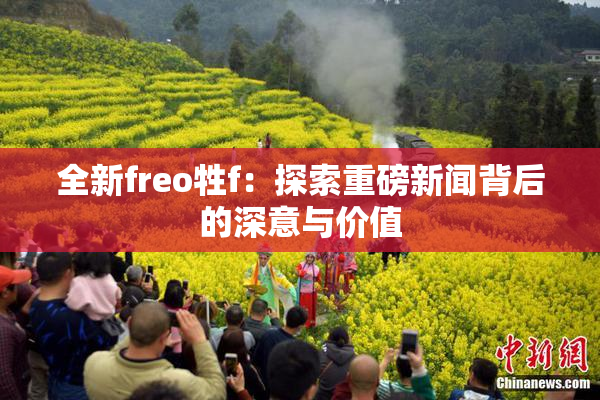 全新freo牲f：探索重磅新闻背后的深意与价值