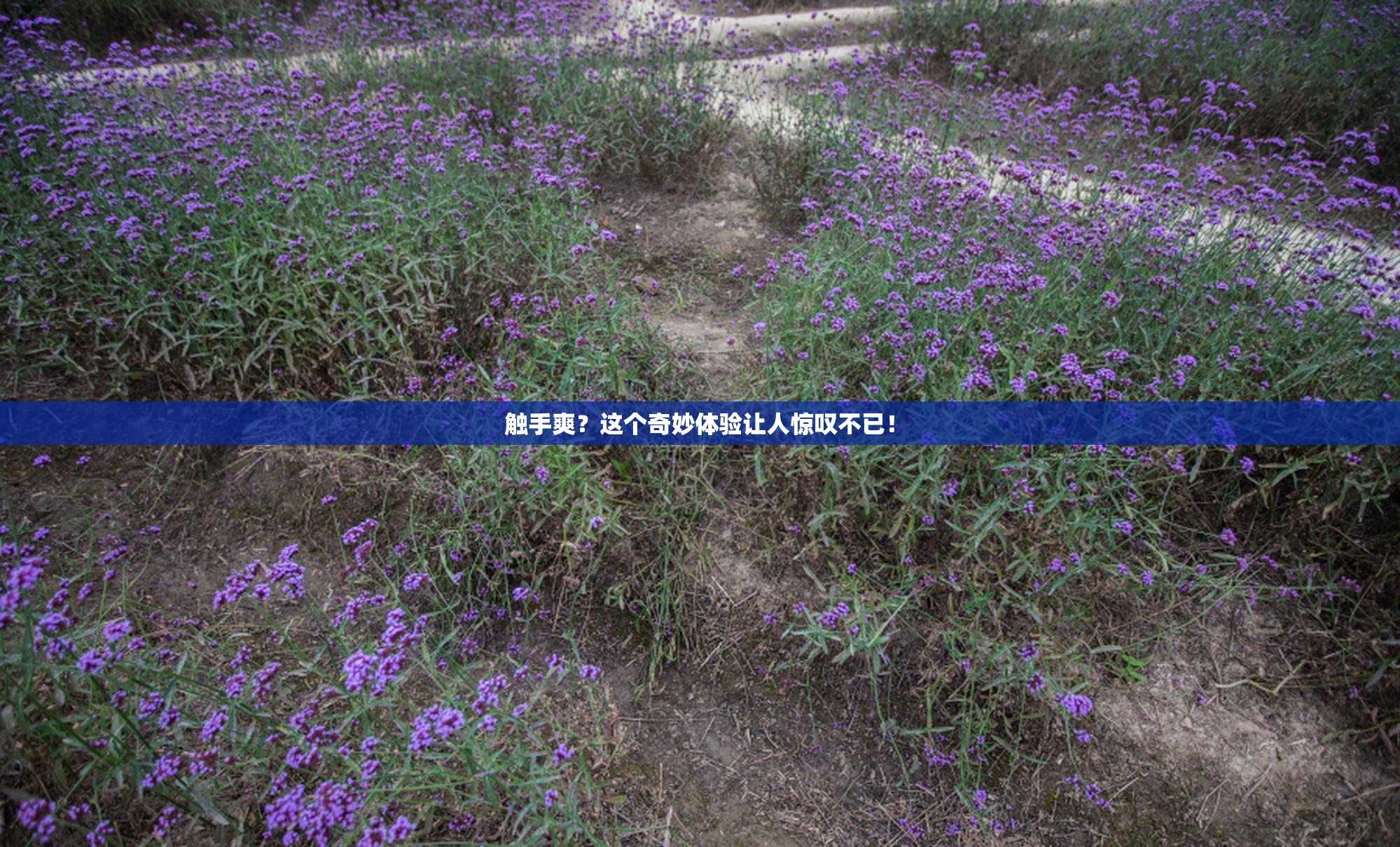 触手爽？这个奇妙体验让人惊叹不已！