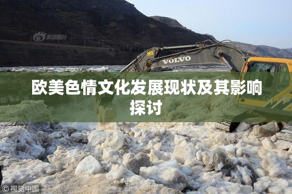 欧美色情文化发展现状及其影响探讨