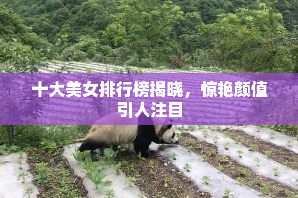 十大美女排行榜揭晓，惊艳颜值引人注目