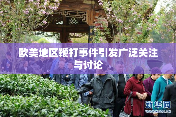 欧美地区鞭打事件引发广泛关注与讨论