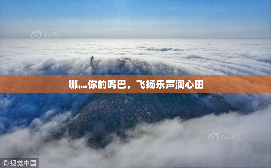 哪灬你的鸣巴，飞扬乐声润心田