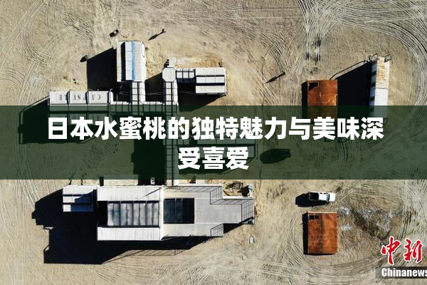 日本水蜜桃的独特魅力与美味深受喜爱