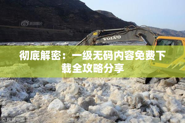彻底解密：一级无码内容免费下载全攻略分享