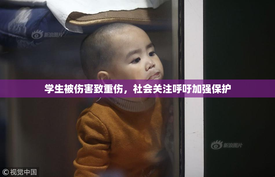 学生被伤害致重伤，社会关注呼吁加强保护