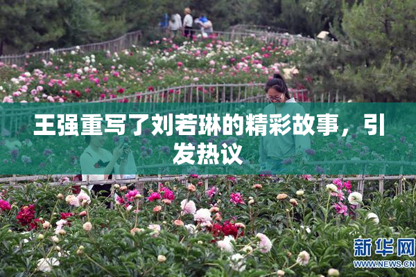 王强重写了刘若琳的精彩故事，引发热议