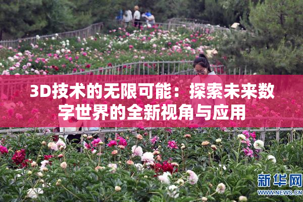 3D技术的无限可能：探索未来数字世界的全新视角与应用