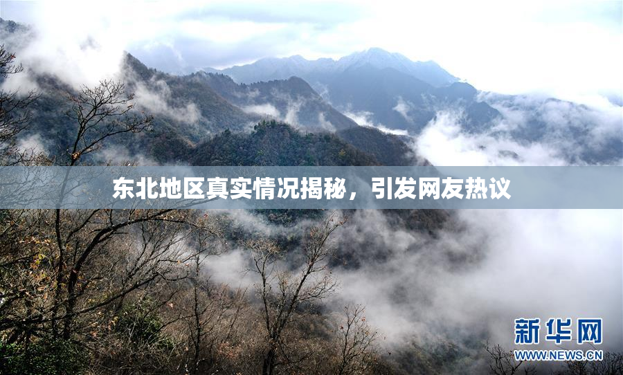 东北地区真实情况揭秘，引发网友热议