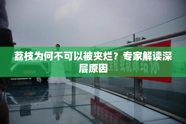 荔枝为何不可以被夹烂？专家解读深层原因