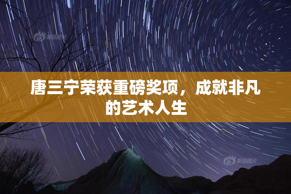 唐三宁荣获重磅奖项，成就非凡的艺术人生
