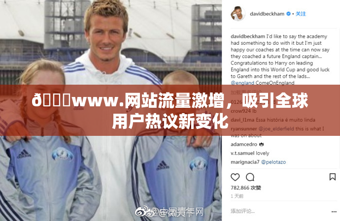 🔞www.网站流量激增，吸引全球用户热议新变化