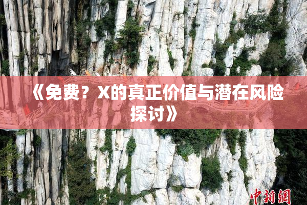 《免费？X的真正价值与潜在风险探讨》