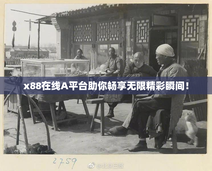 x88在线A平台助你畅享无限精彩瞬间！