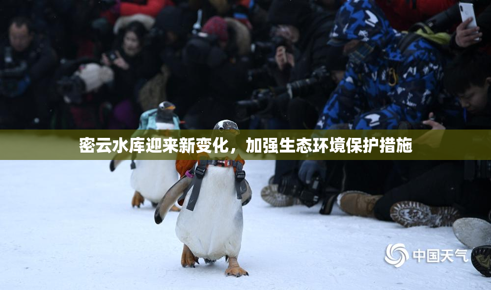 密云水库迎来新变化，加强生态环境保护措施