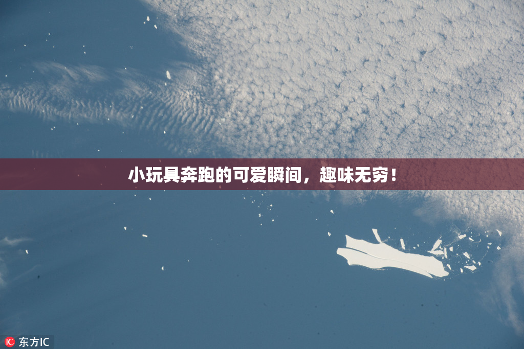 小玩具奔跑的可爱瞬间，趣味无穷！