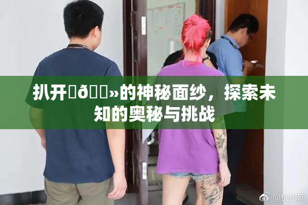 扒开‌🐻的神秘面纱，探索未知的奥秘与挑战