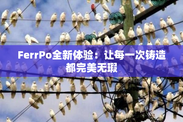 FerrPo全新体验：让每一次铸造都完美无瑕