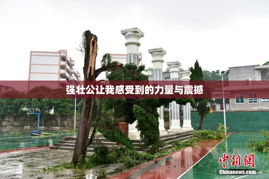 强壮公让我感受到的力量与震撼