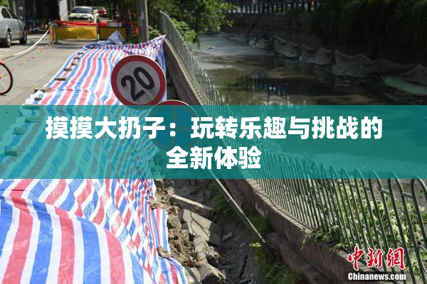 摸摸大扔子：玩转乐趣与挑战的全新体验