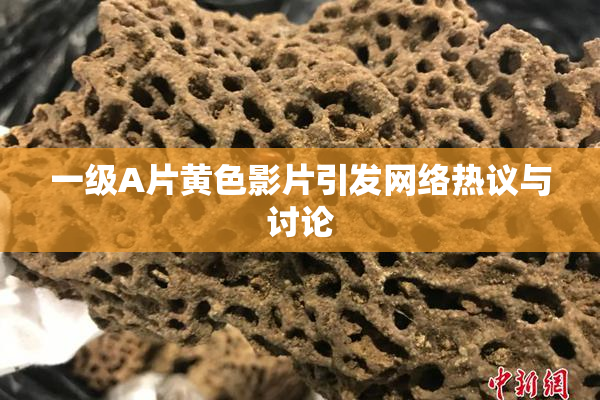 一级A片黄色影片引发网络热议与讨论