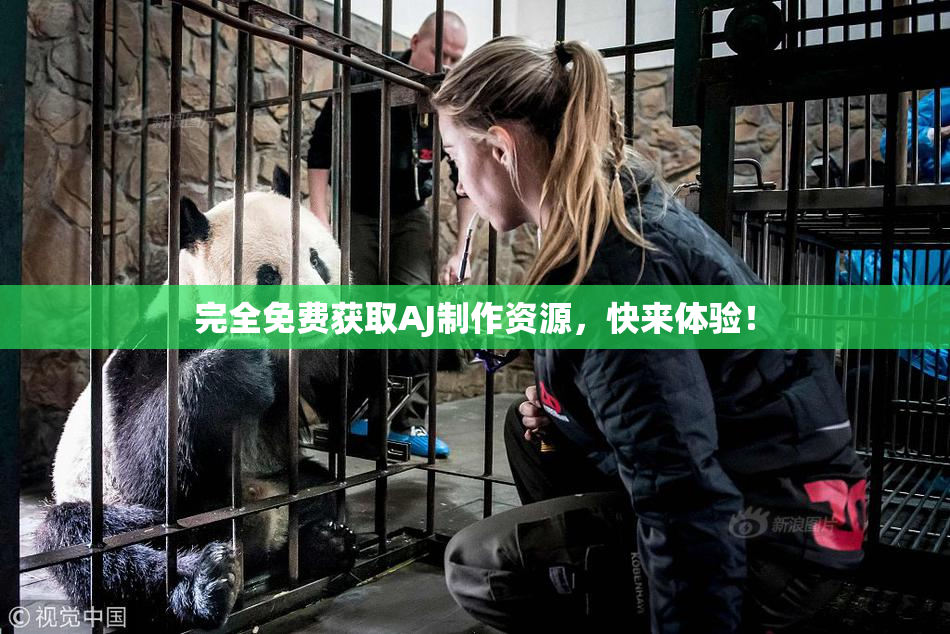 完全免费获取AJ制作资源，快来体验！