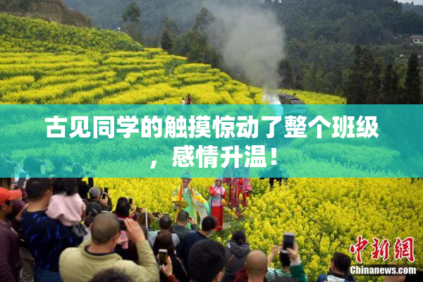 古见同学的触摸惊动了整个班级，感情升温！