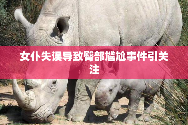 女仆失误导致臀部尴尬事件引关注