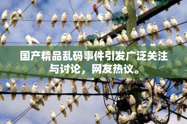 国产精品乱码事件引发广泛关注与讨论，网友热议。