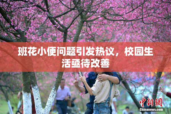 班花小便问题引发热议，校园生活亟待改善