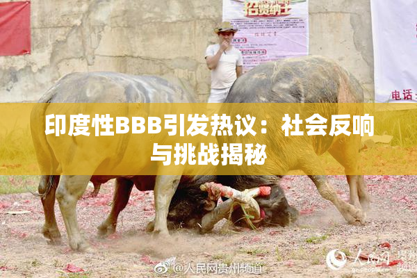 印度性BBB引发热议：社会反响与挑战揭秘