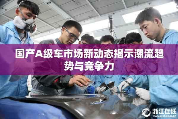 国产A级车市场新动态揭示潮流趋势与竞争力