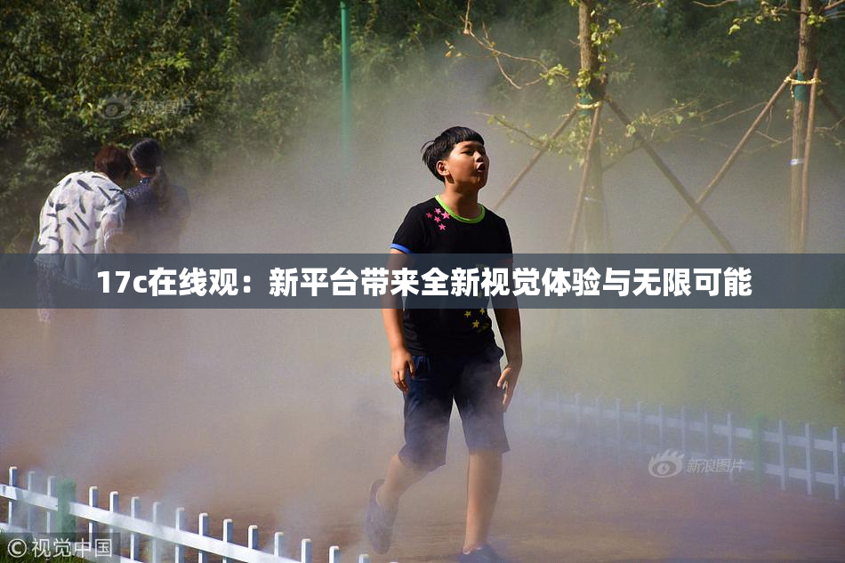 17c在线观：新平台带来全新视觉体验与无限可能