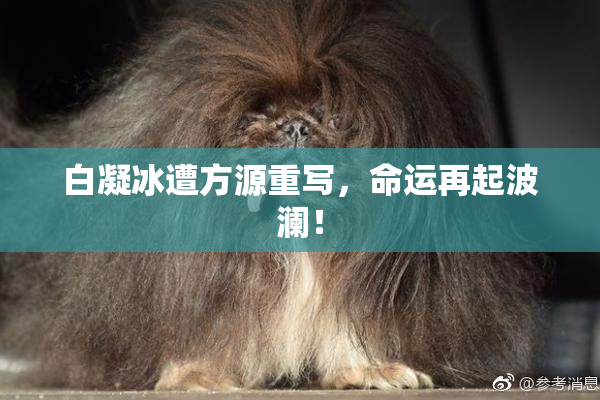 白凝冰遭方源重写，命运再起波澜！