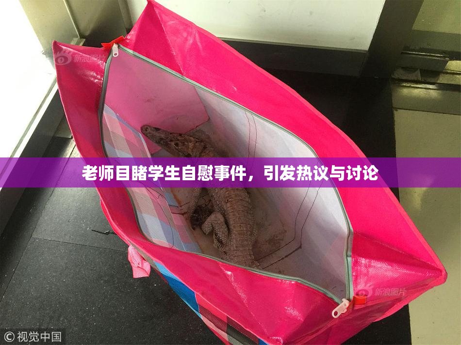 老师目睹学生自慰事件，引发热议与讨论
