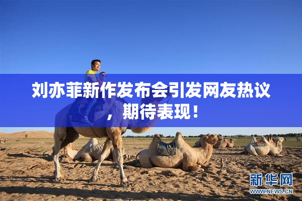 刘亦菲新作发布会引发网友热议，期待表现！