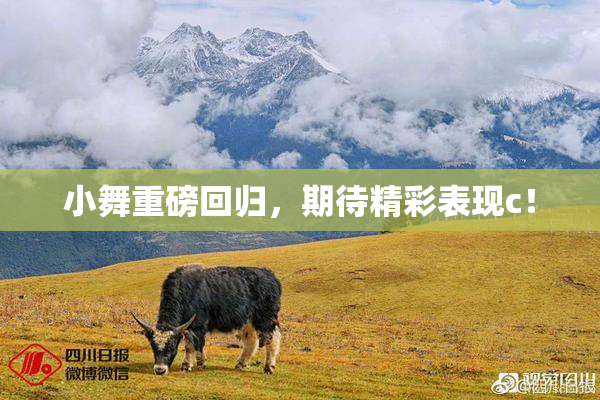 小舞重磅回归，期待精彩表现c！