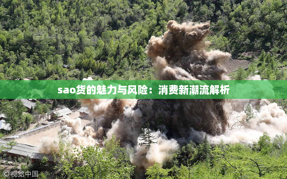 sao货的魅力与风险：消费新潮流解析