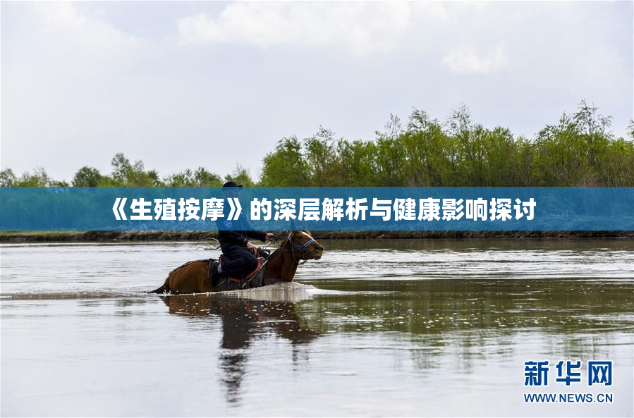《生殖按摩》的深层解析与健康影响探讨