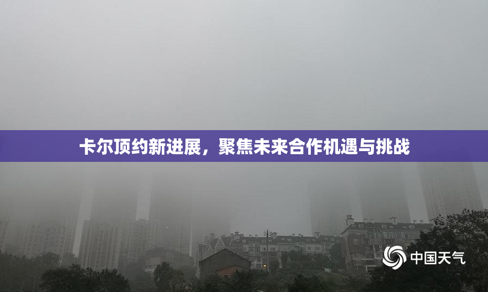 卡尔顶约新进展，聚焦未来合作机遇与挑战