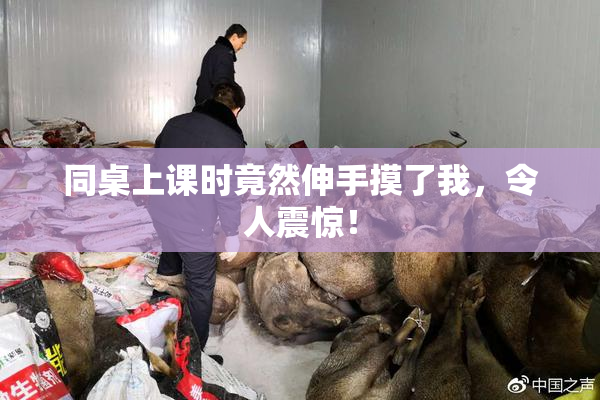 同桌上课时竟然伸手摸了我，令人震惊！