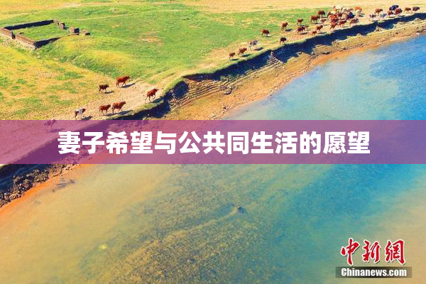 妻子希望与公共同生活的愿望