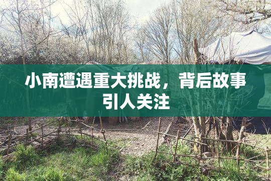 小南遭遇重大挑战，背后故事引人关注