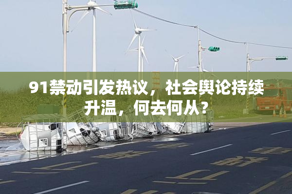91禁动引发热议，社会舆论持续升温，何去何从？