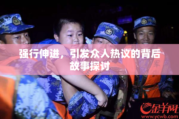 强行伸进，引发众人热议的背后故事探讨
