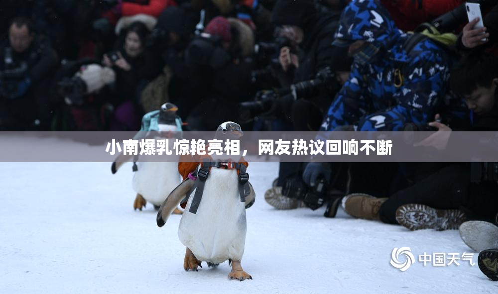 小南爆乳惊艳亮相，网友热议回响不断