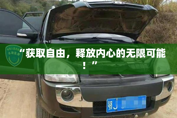 “获取自由，释放内心的无限可能！”