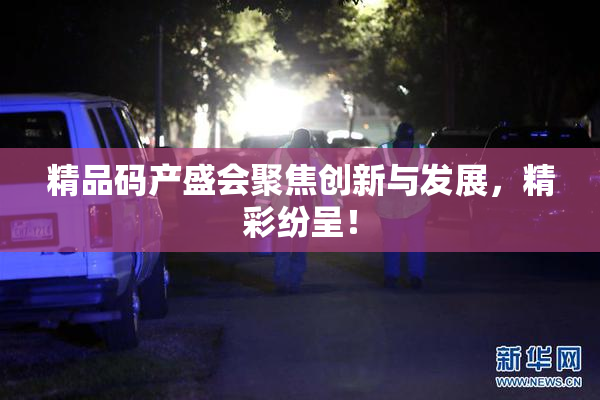 精品码产盛会聚焦创新与发展，精彩纷呈！