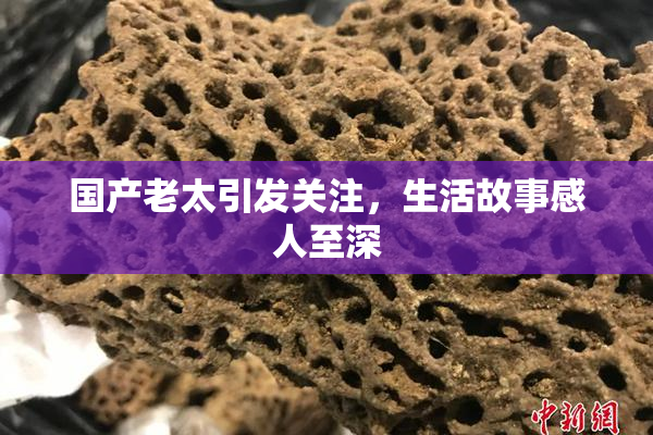 国产老太引发关注，生活故事感人至深