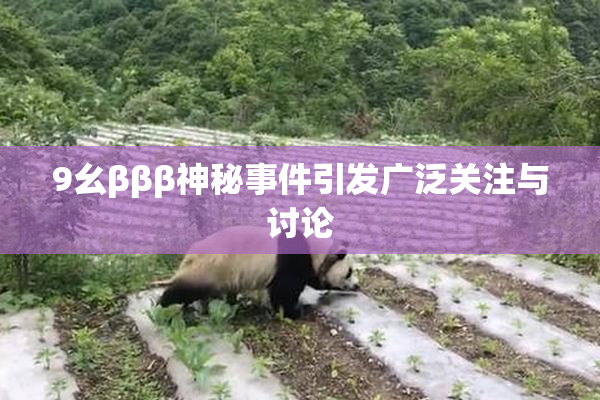 9幺βββ神秘事件引发广泛关注与讨论