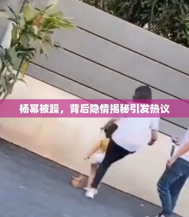 杨幂被躁，背后隐情揭秘引发热议